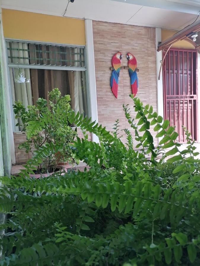 Villa Gabriela, Casa Tucan Liberia Buitenkant foto
